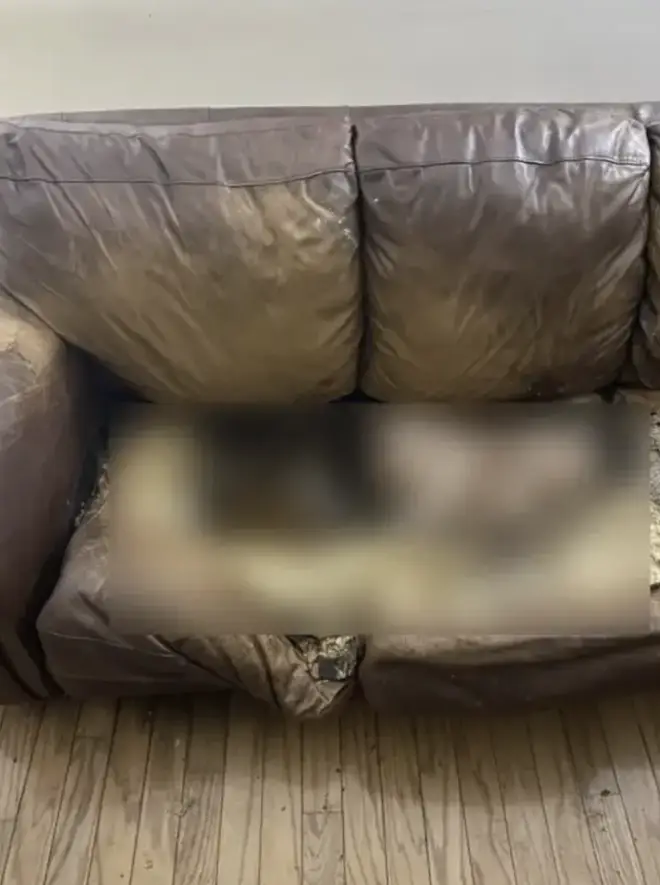 Post Image