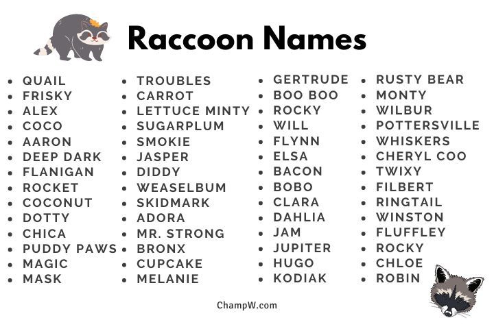 360 Hilarious And Cute Dumb Furry Names