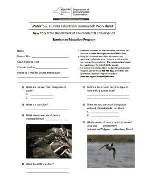 5-Foot Wide Plywood: Hunter Ed Exam Answers & Terms Of Use Explained