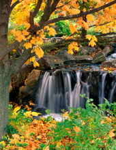 Acree-Davis Funeral Home Toccoa, GA: Recent Obituaries & Services