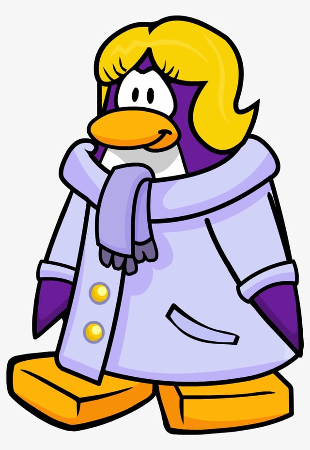 Aime Problems: Flashpoint Poptropica Not Working? Troubleshooting Guide