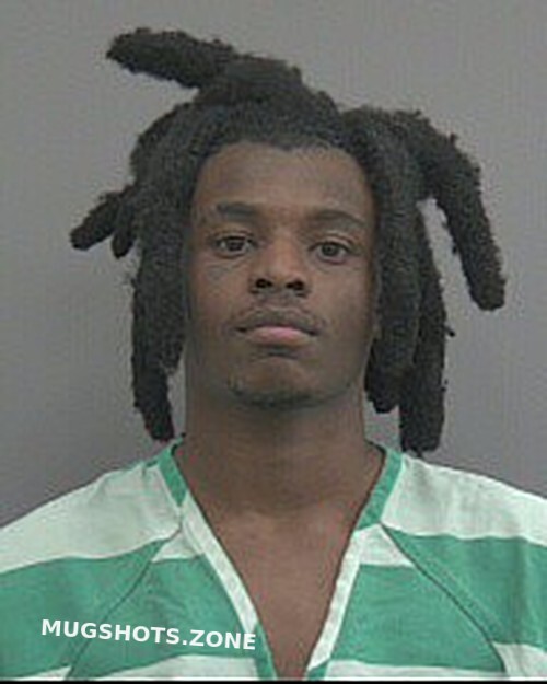 Alachua County Mugshots: Your Guide To Public Records