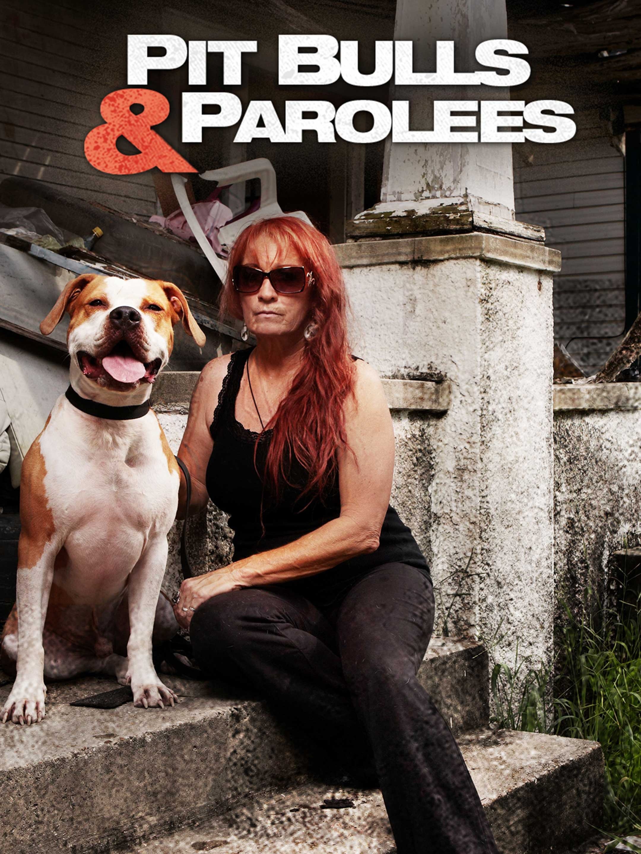 Armando's Pitbulls And Parolees: A Look Inside The Rescue And Rehabilitation Program