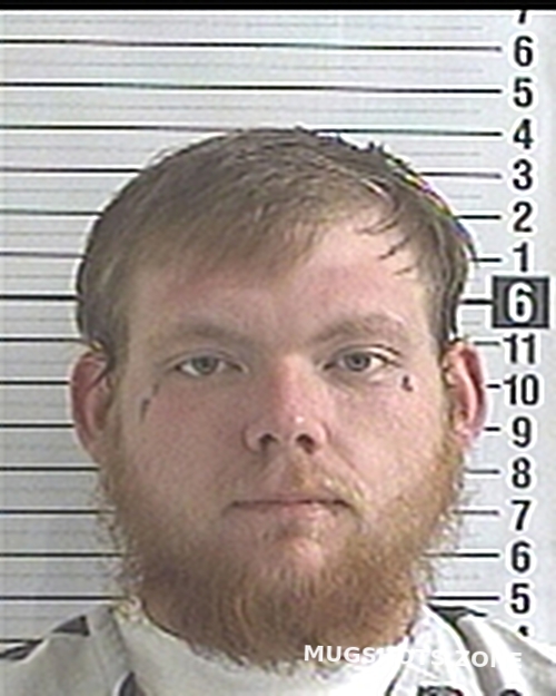 Bay County Mugshots 2024: A Timeline Of Recent Arrests In Video