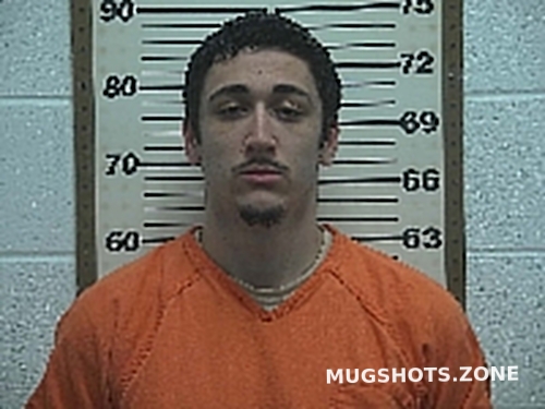 Belmont County Busted Mugshots: A Comprehensive Guide & Terms Of Use