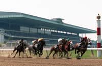 Belmont Park Entries: Your Complete Guide To The 2024 Stakes