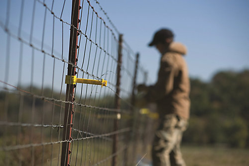 Best Hog Fence Options From Tractor Supply: A Comprehensive Guide