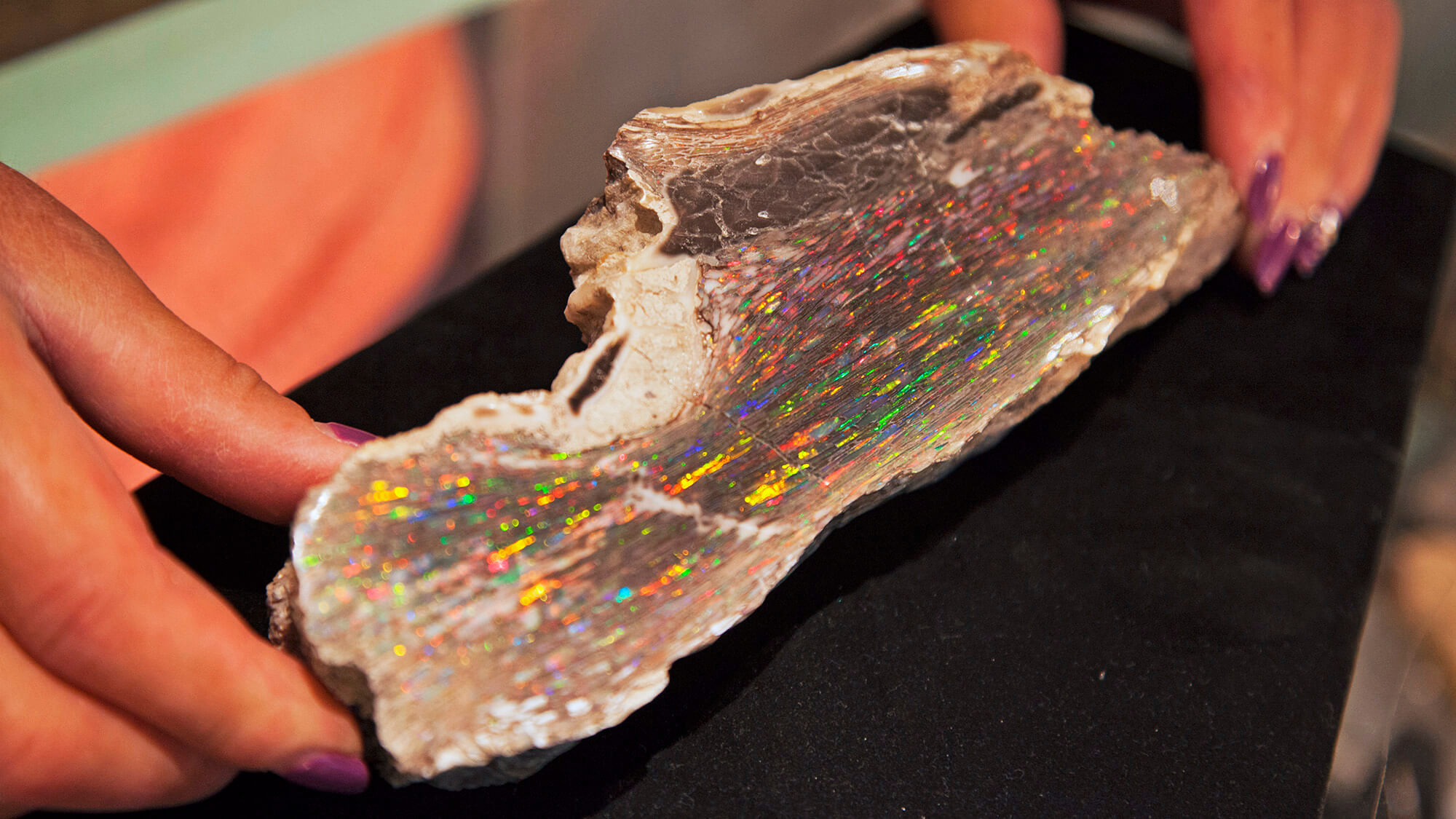 Borgess MyHealth: Understanding Oregon's Opal Mines And Public Access Terms Of Use