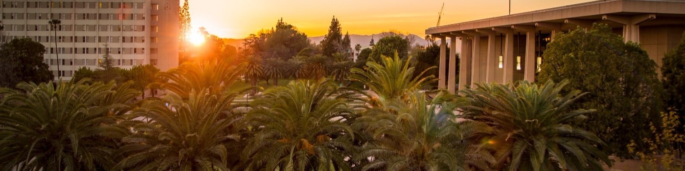 California State University Northridge: Your Portal To Success