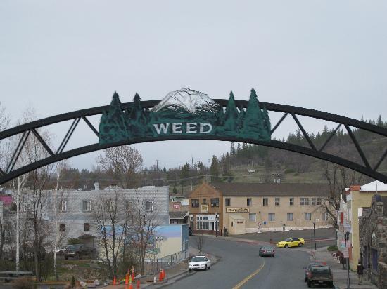California Weed Roads: A Comprehensive FAQ On Current Road Conditions
