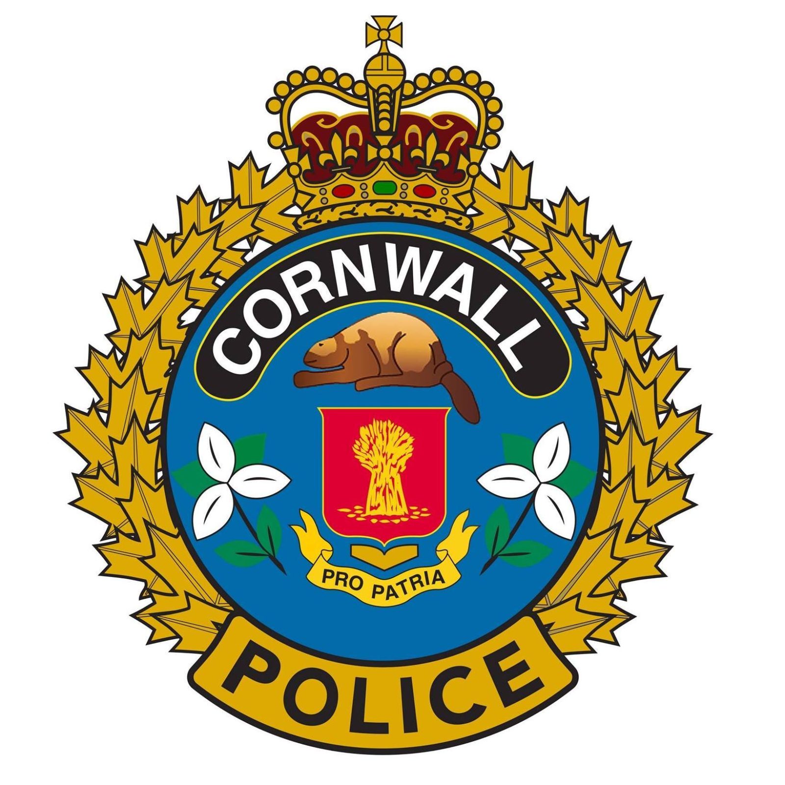 Canandaigua Police Blotter: Your Weekly Roundup Of Local Crime News