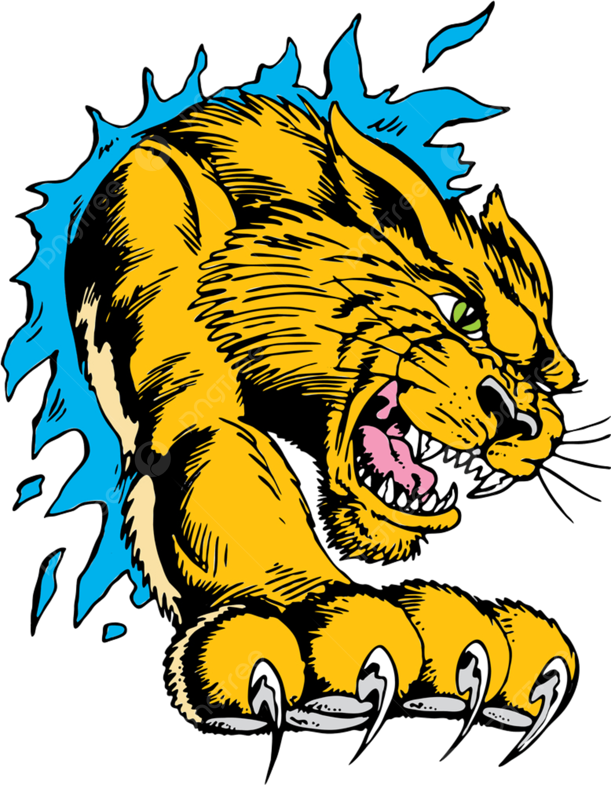 Cats Illustrated: Exploring The Wildcat Lair