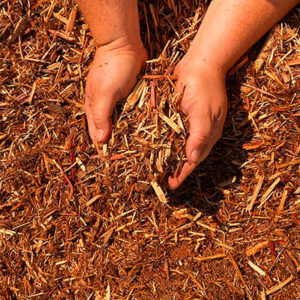 Cedar Mulch At Menards: Your Guide To The Best Prices & Types