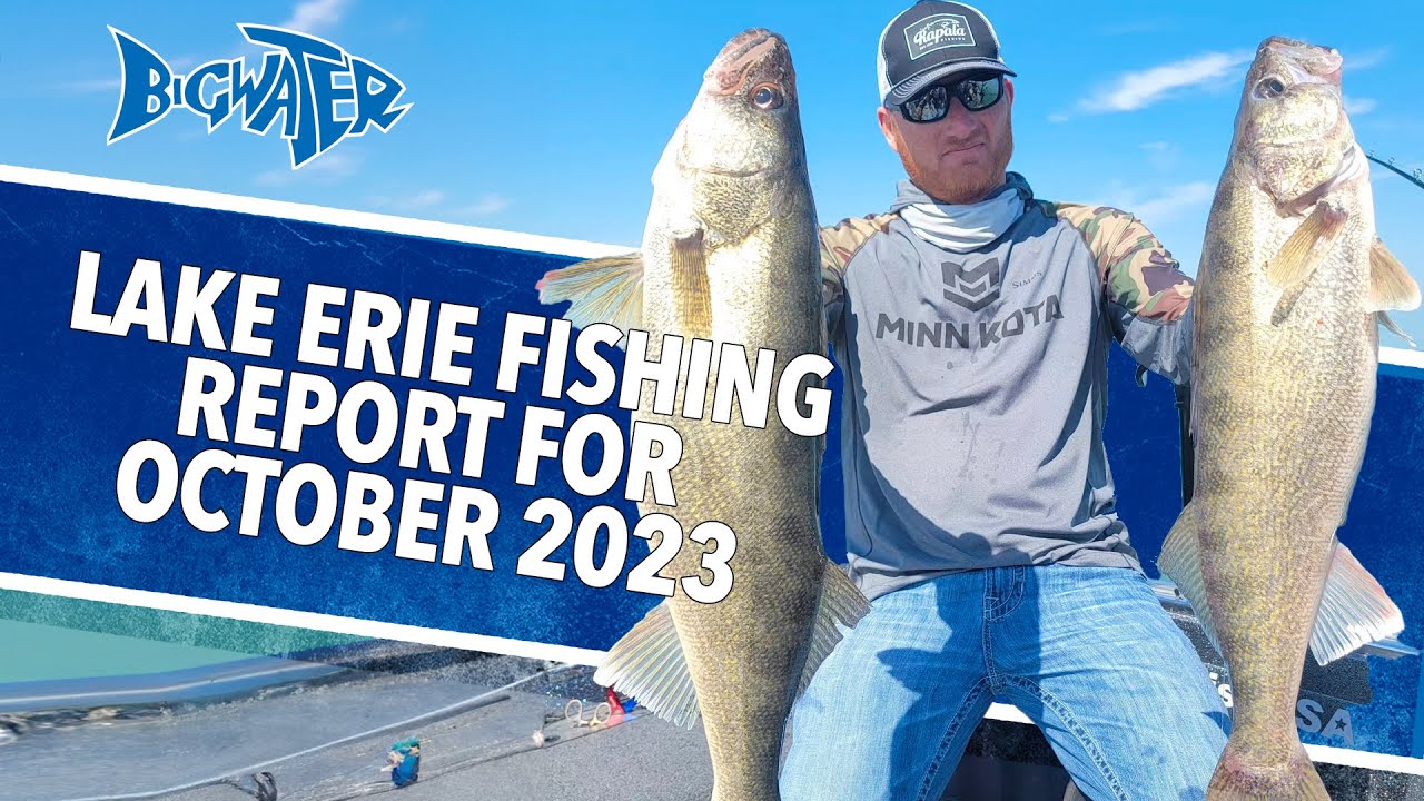 Central Lake Erie Fishing Reports: Your Guide To The Best Bites