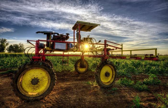 Charleston WV Craigslist: Your Guide To Farm & Garden Finds