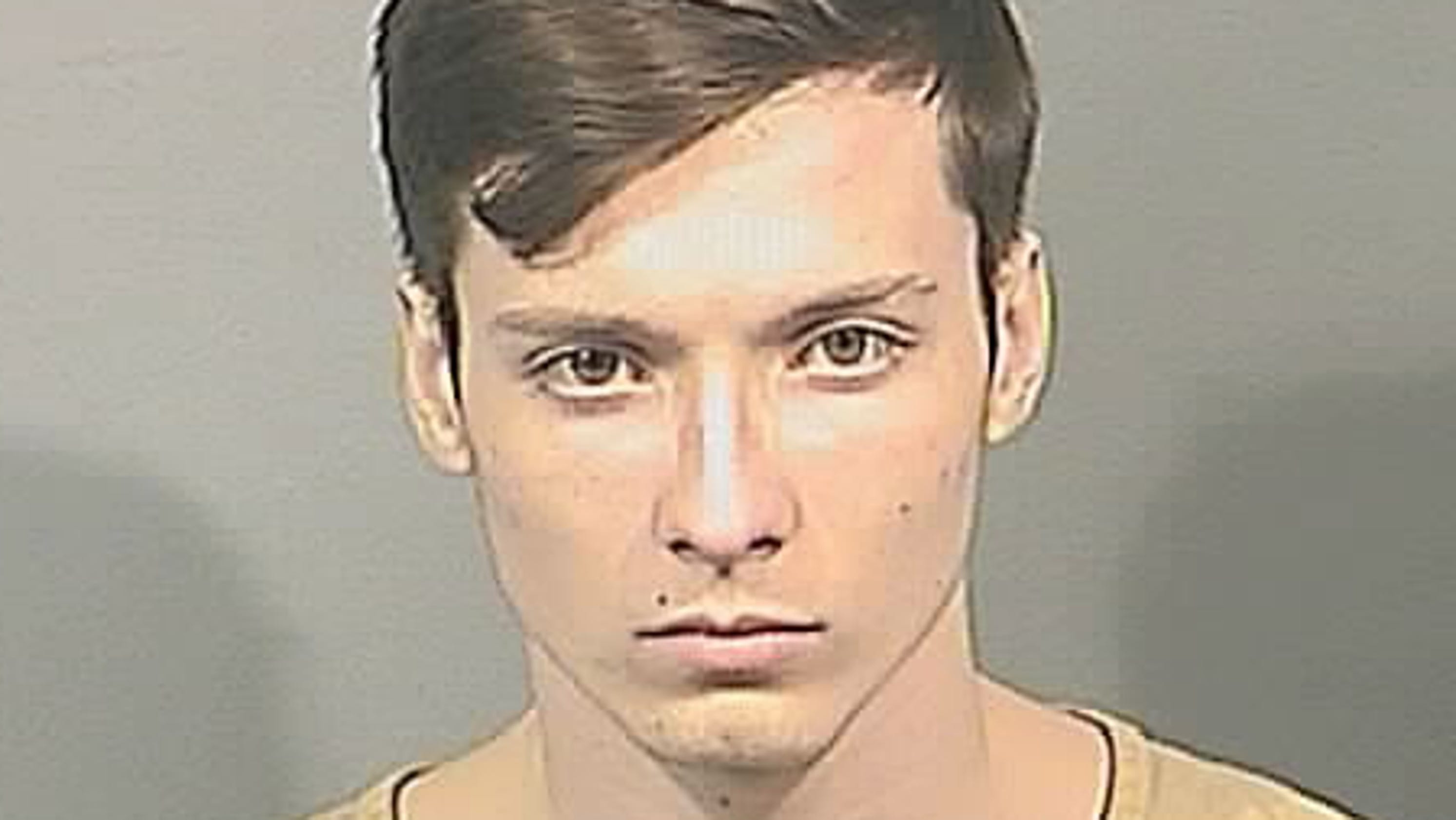 Chattanooga Arrest Mugshots: Your Guide To Public Records