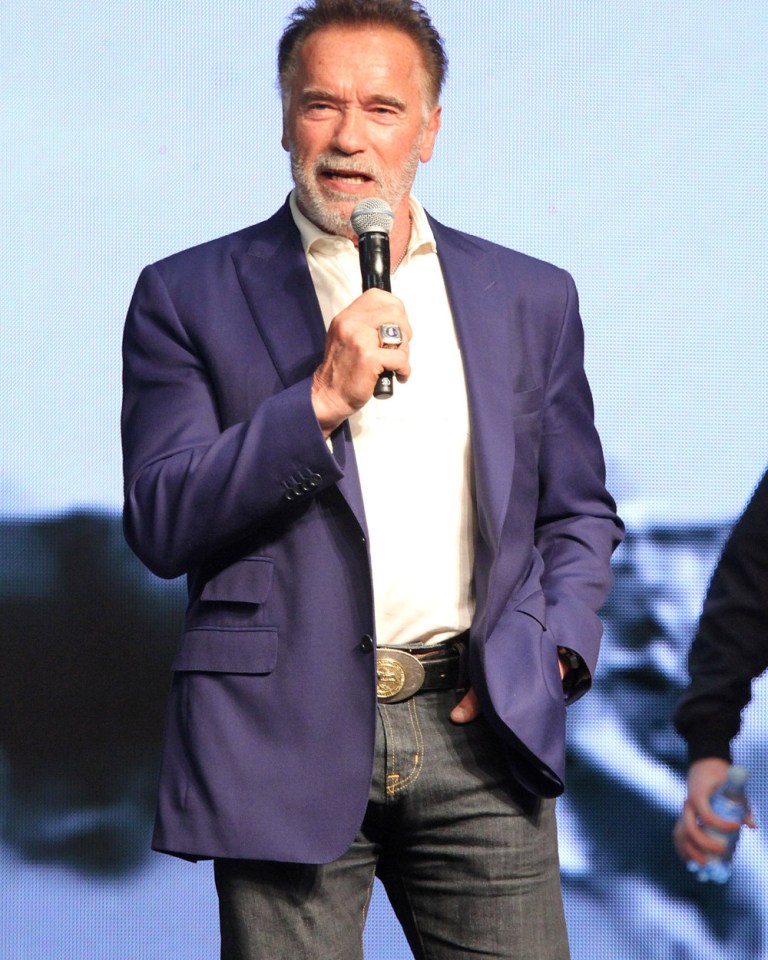 Christopher Schwarzenegger Today: A Look At The Life Of Arnold's Son