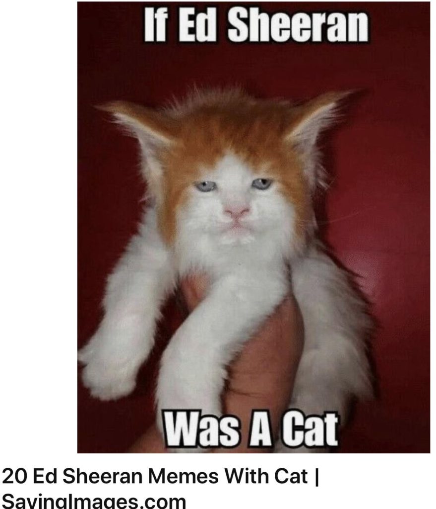 Clean Funny Memes: Your Daily Dose Of Laughter Without The Offensive Stuff