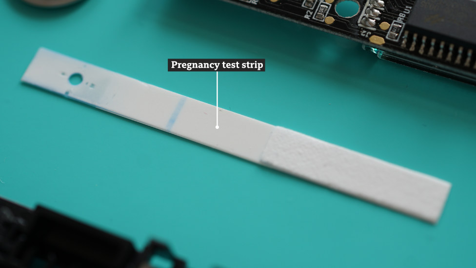 Clear Blue Digital Pregnancy Test: Understanding Two Lines