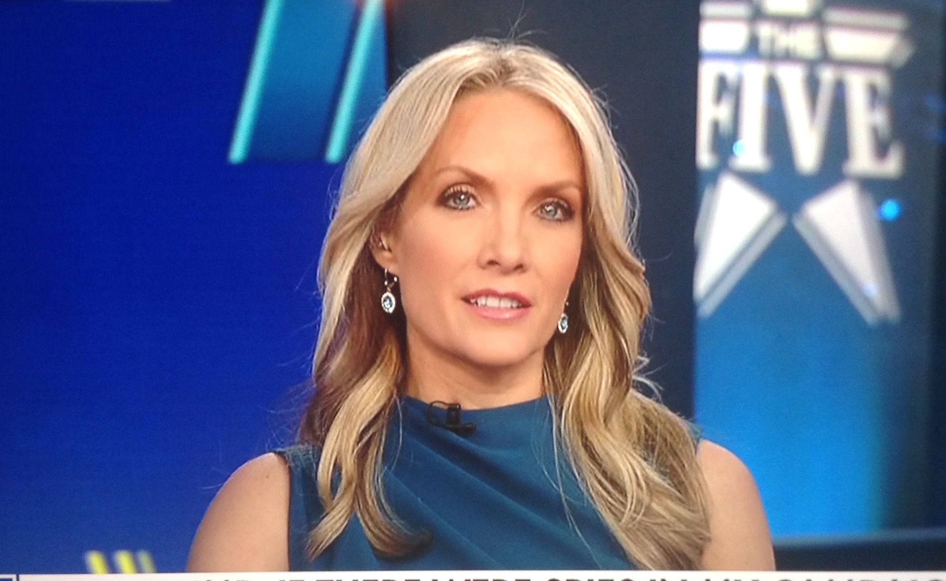 Dana Perino's Children: A Look At Her Family Life