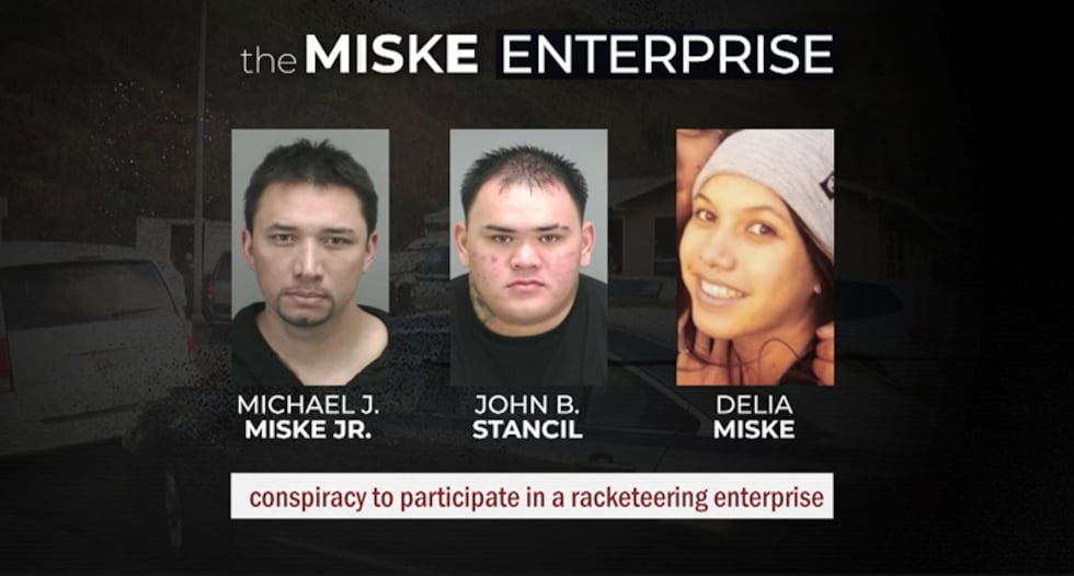 Delia Fabro Miske: A Comprehensive Overview