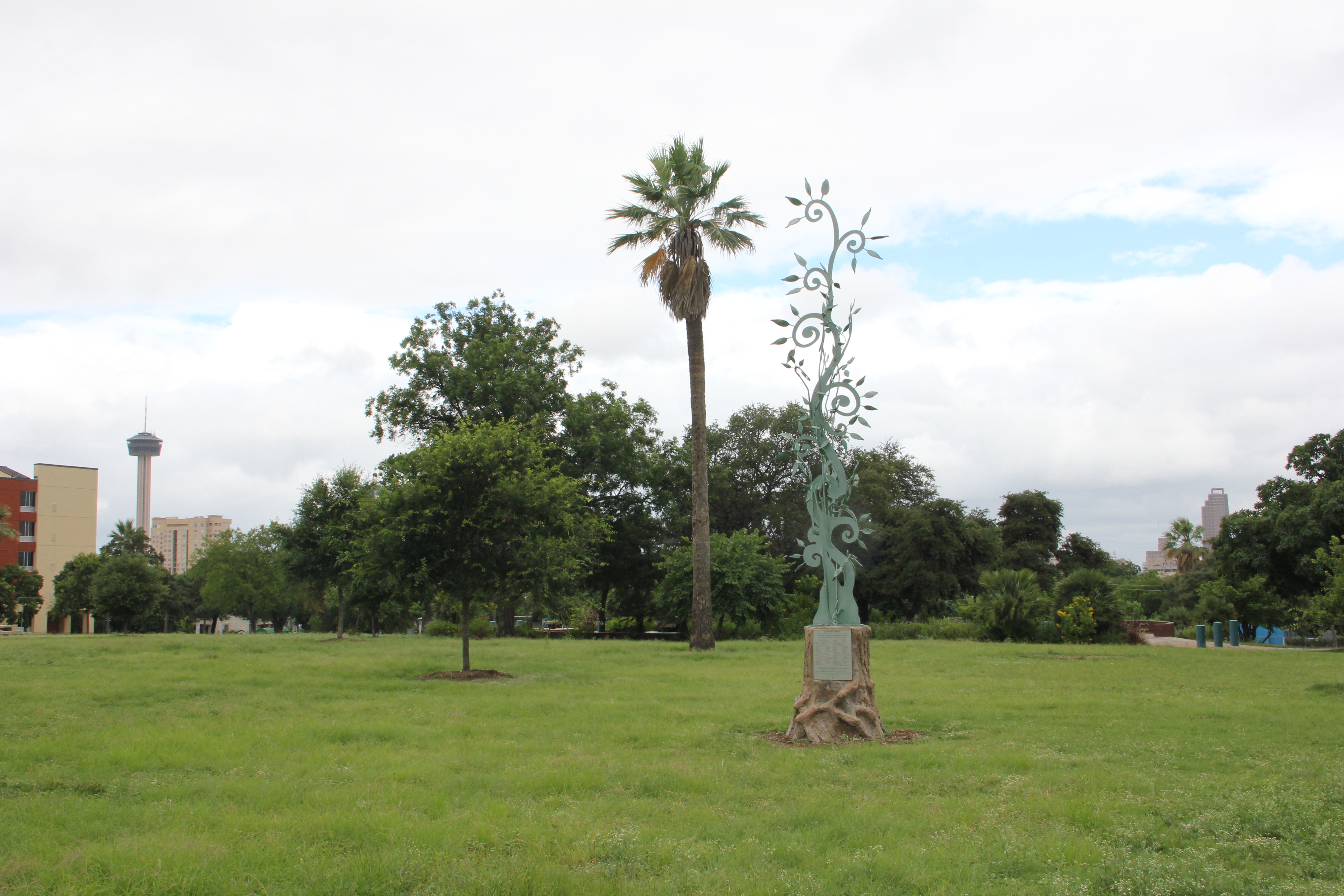 Dignity Memorial San Antonio TX: Your Guide To Funeral & Cemetery Services