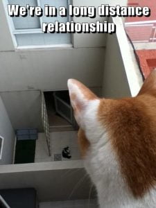 Dirty Funny Long Distance Relationship Memes: Hilarious Truths & Relatable Struggles