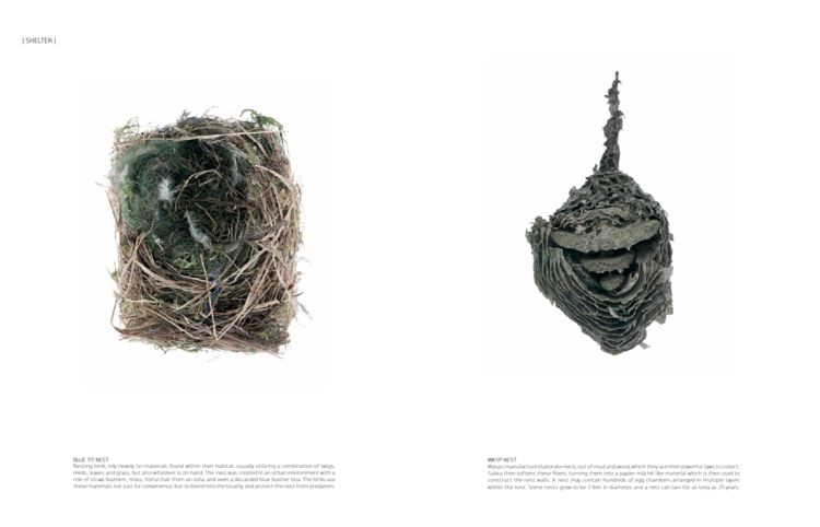 Earth's Geology: A Fine Art Exploration