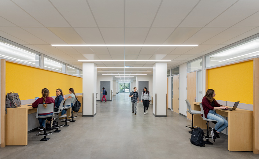 Easy Upper Division Classes At UC Davis: Your Guide To A Lighter Course Load