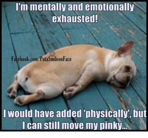 Emotionally Exhausted? Relatable Memes To Help You Cope