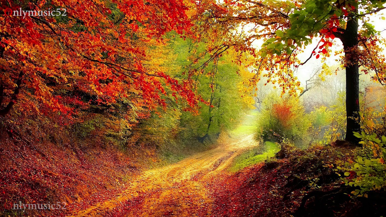 Enya Sleep Music: Find Your Perfect Relaxation Playlist