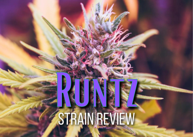 Equibase Results Today: Garlic Runtz Strain Analysis & AllBud Reviews