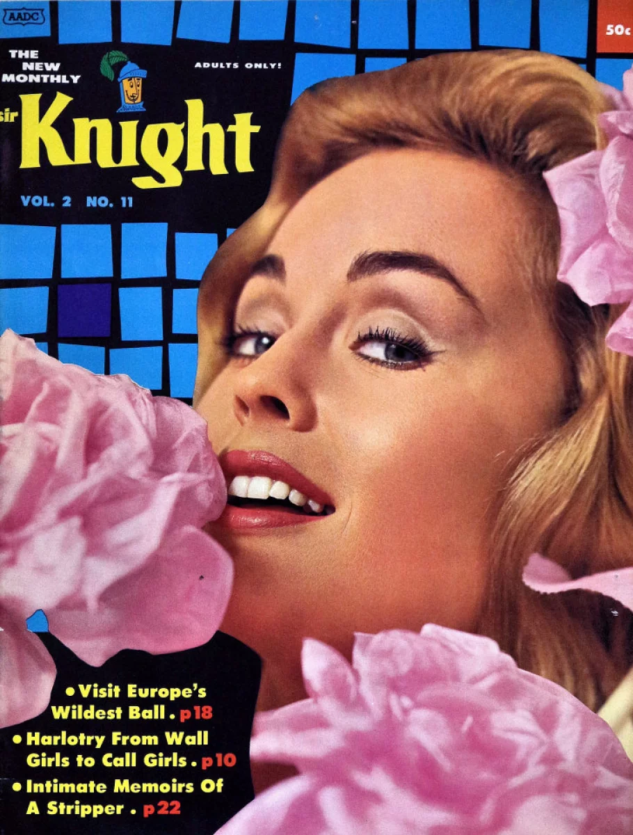 Exploring The World Of Vintage Erotica Forums: A Collector's Guide