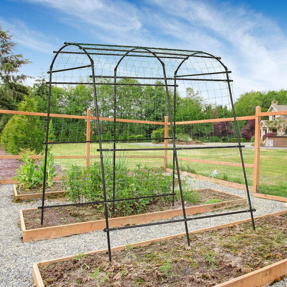 Find High-Paying CNA Jobs Near You: Salary & Garden Arch Trellis Inspiration