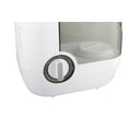 Find The Best Karakachan For Sale: A Comprehensive Guide & Mainstays Warm Mist Humidifier Manual
