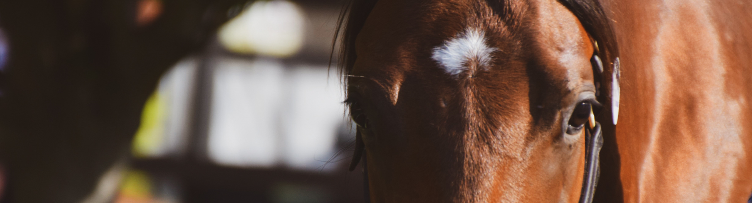 Find Top Yard Jockey Jobs Near You: Hiring Now