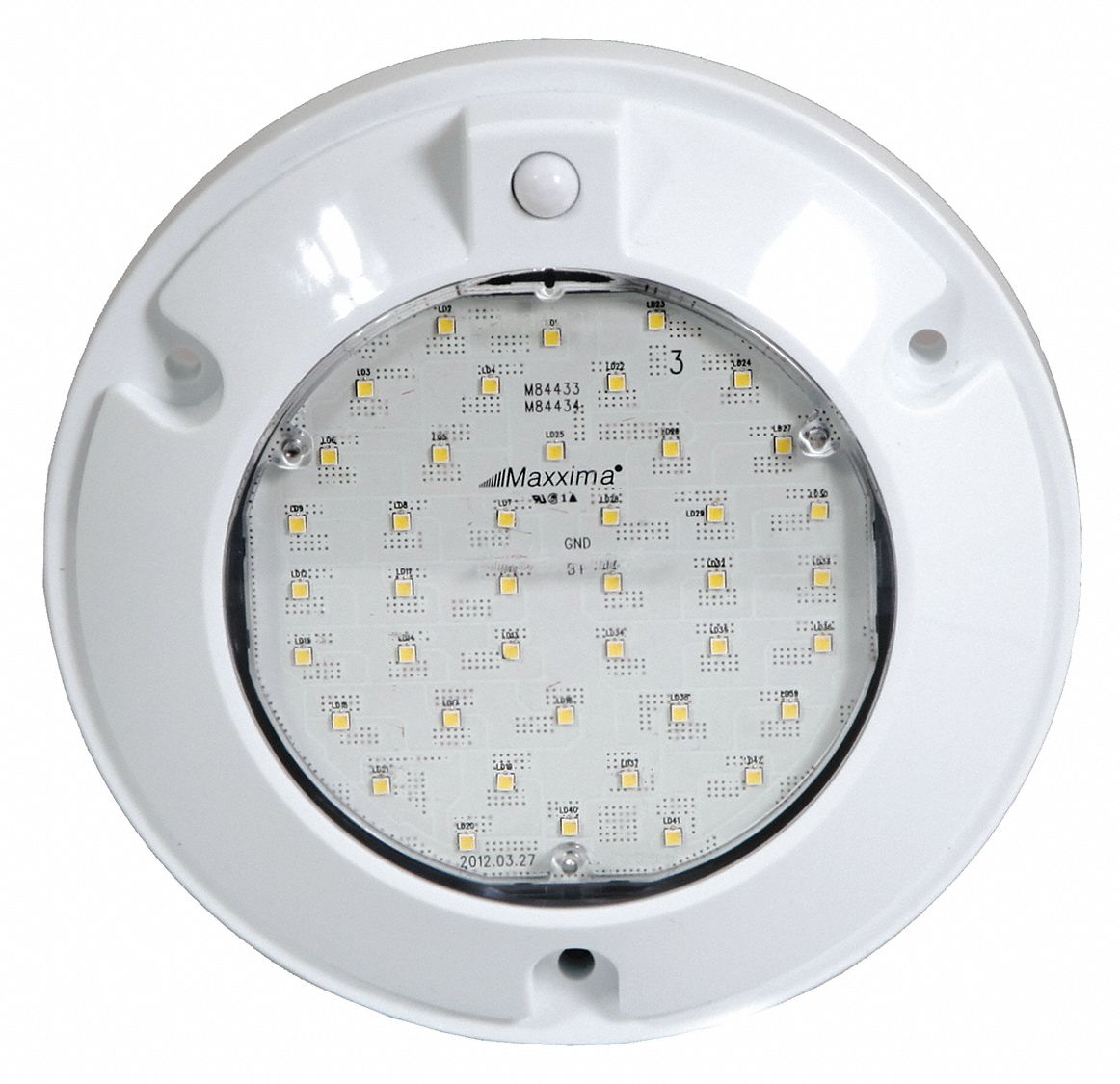 Find Your Perfect Dome Light: Lowe's, Craigslist, And Greenville, SC Pet Options