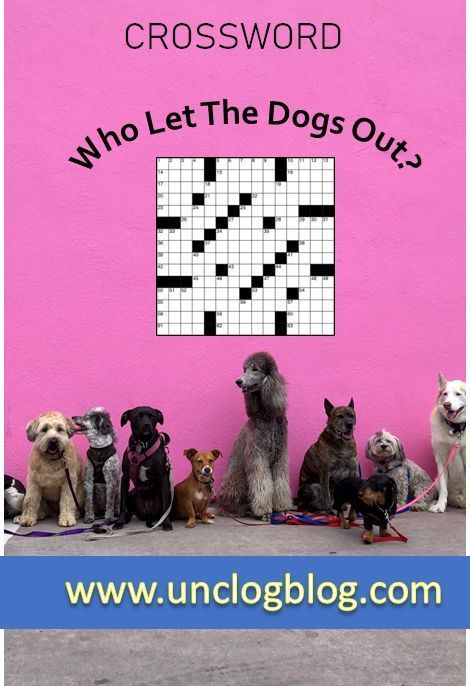 Find Your Perfect Small Dog: Craigslist Listings & Crossword Clue Help
