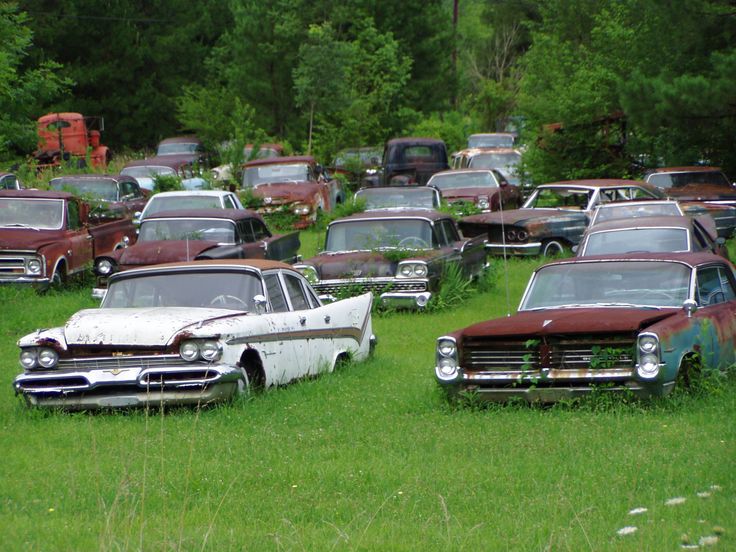 Finding Cars, Pets & More: 54 Auto Salvage Yards In Trenton, Tennessee & Flint, Michigan Craigslist