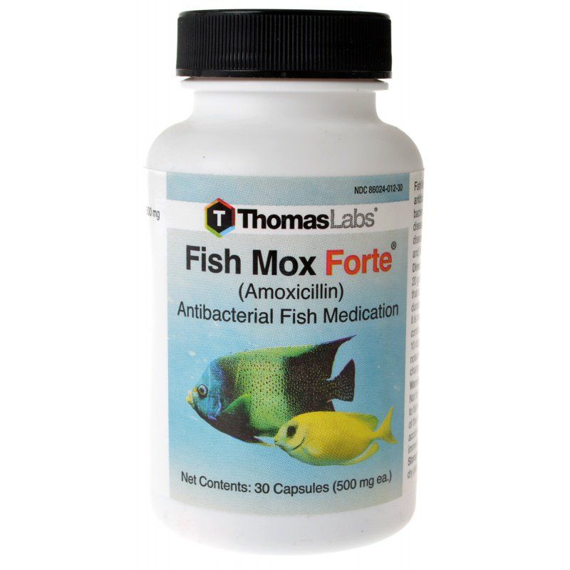 Finding Fish Amoxicillin At Tractor Supply: A Guide For Aquarium Owners