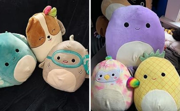 Founders Of Squishmallows: WCSJ News And Recent Developments