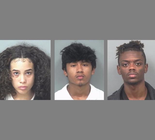 Franecha Torres Sentencing: Gwinnett County Case Details Revealed
