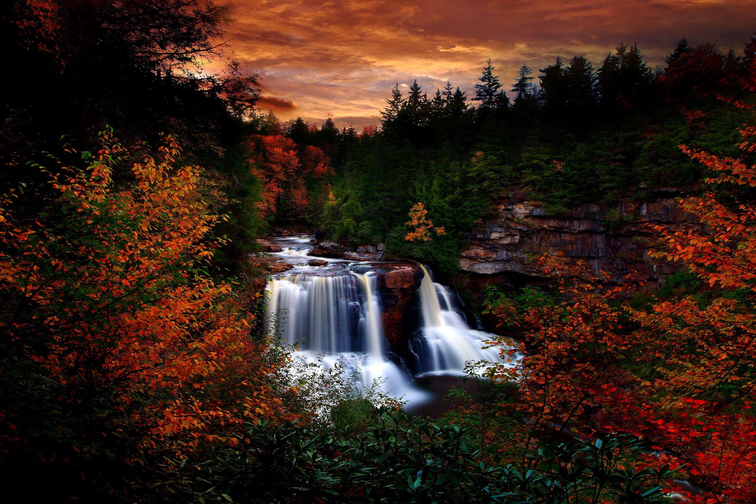 Free Beautiful Nature Videos: Download Now & Explore Charleston, WV