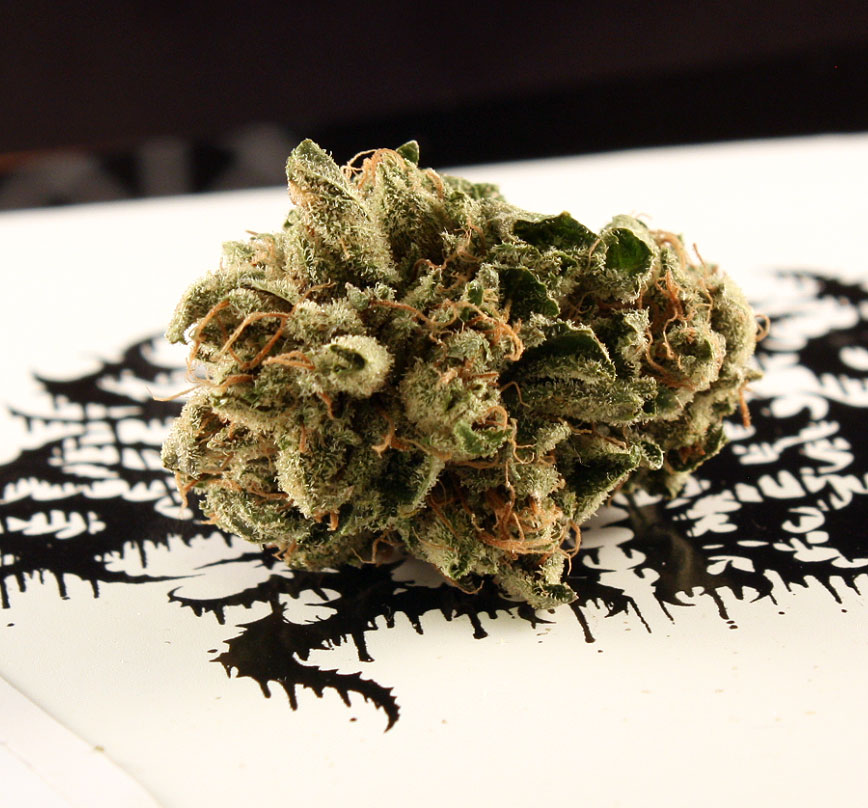 Garlic Cookies Strain: A Leafly Review And Grow Guide