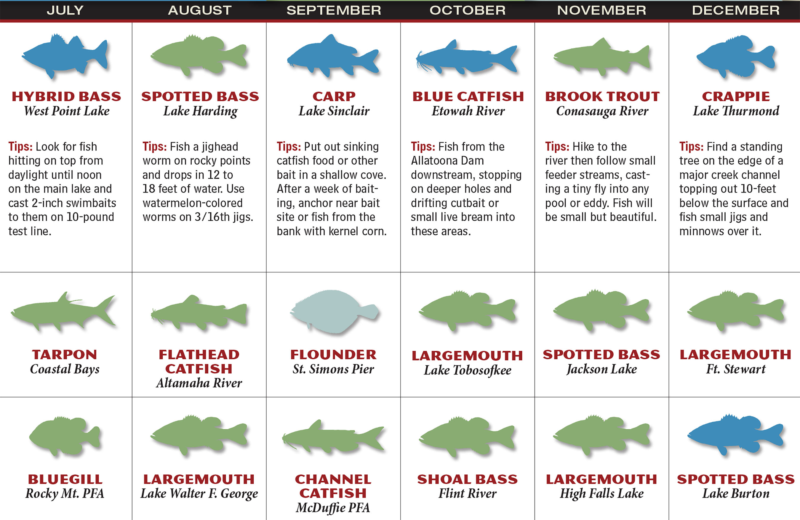 Georgia Fish And Game Forecast: Your Guide To The Best Fishing And Hunting Spots