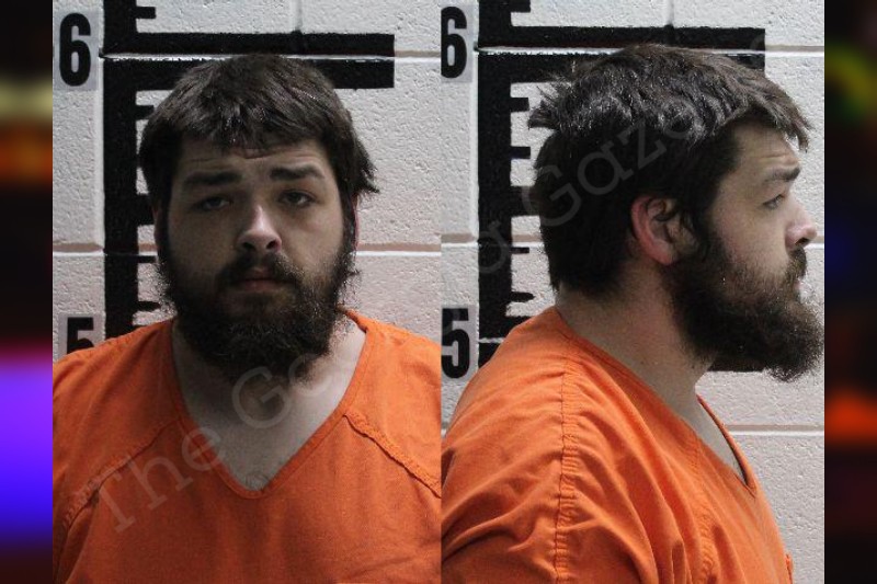 Georgia Gazette Arrest Records: Your Guide To Finding Public Information