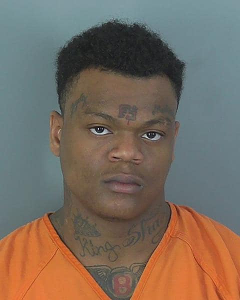 Greenville County Mugshots: Your Guide To Recent Arrests