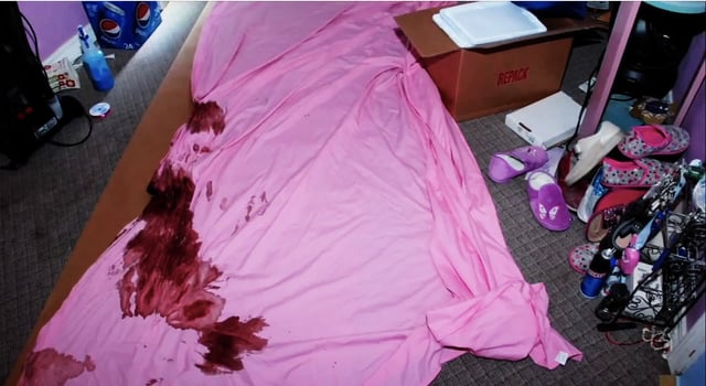Gypsy Rose Blanchard Crime Scene Photos: A Detailed Analysis