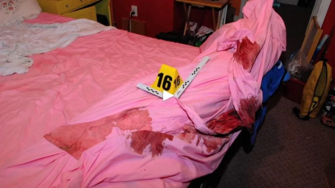 Gypsy Rose Blanchard Crime Scene Photos: A Detailed Look At The Case