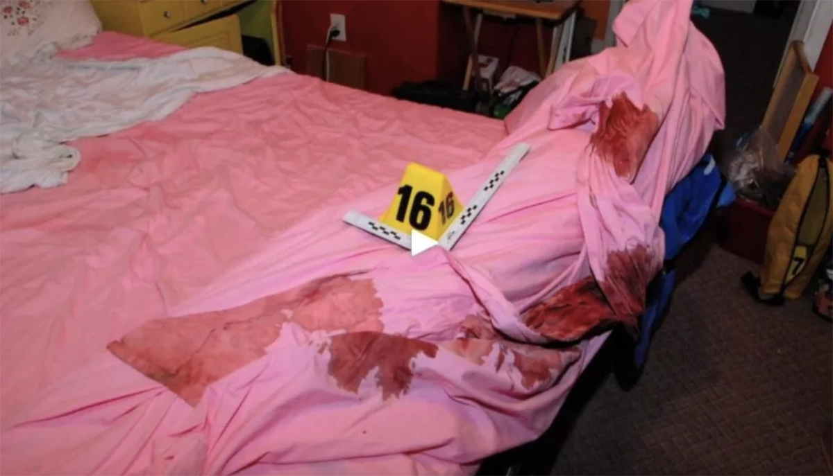 Gypsy Rose Blanchard Crime Scene Photos: A Shocking Look At The Case